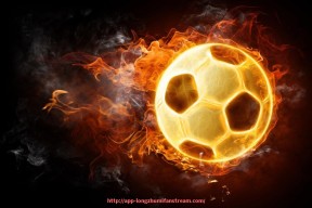 龙珠直播-法甲球队2024年财务状况分析报告及资金管理研究