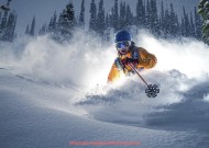 龙珠直播-谁是直播流量王？2025年世俱杯热门直播榜单出炉