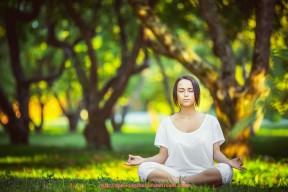 龙珠直播-法甲联赛进攻战术构建与成功案例研究