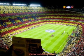 龙珠直播-世俱杯球迷环保观赛倡议:共建绿色赛事环境