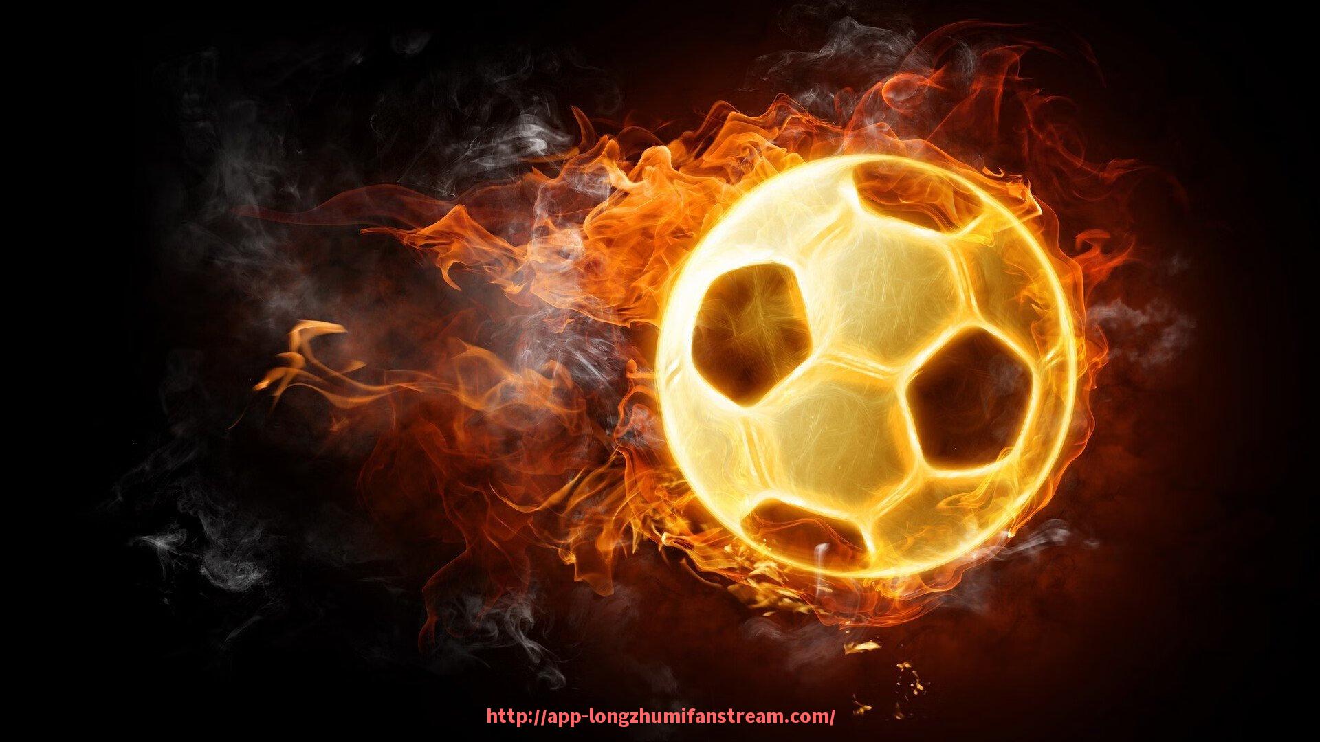 龙珠直播-法甲球队2024年财务状况分析报告及资金管理研究